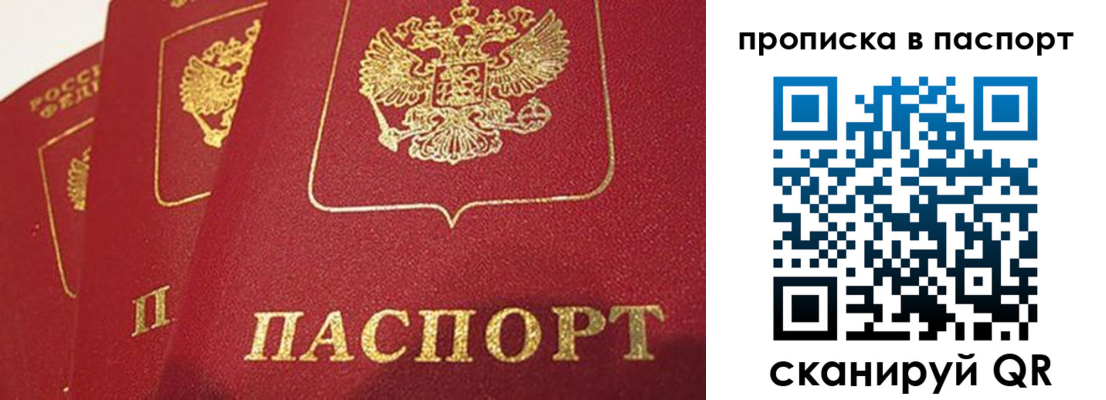 прописка гарантия в Ноябрьске